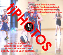 Load image into Gallery viewer, Rex Lionti Iramoo Winter 2024 Game Photo Catalogue