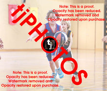 Load image into Gallery viewer, Rex Lionti Iramoo Winter 2024 Game Photo Catalogue