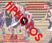 Load image into Gallery viewer, Rex Lionti Iramoo Winter 2024 Game Photo Catalogue