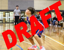 Load image into Gallery viewer, Jase Miles Iramoo Game Photo Catalogue