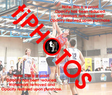 Load image into Gallery viewer, Liam Huntington Westgate Game Photo Catalogue