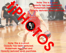 Load image into Gallery viewer, Patrick Chen Westgate Game Photo Catalogue