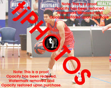 Load image into Gallery viewer, Patrick Chen Westgate Game Photo Catalogue