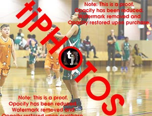 Ismail Abdou Hoppers Game Photo Catalogue