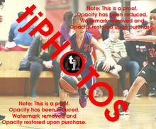 Load image into Gallery viewer, Jye Silcock Iramoo Winter 2024 Game Photo Catalogue