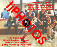 Load image into Gallery viewer, Jye Silcock Iramoo Winter 2024 Game Photo Catalogue