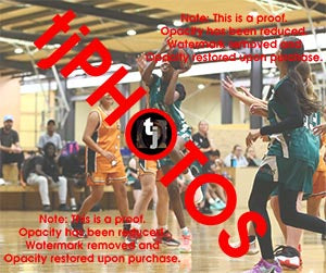 Afnan Ibrahim Hoppers Game Photo Catalogue