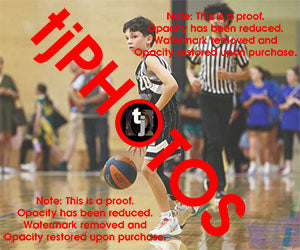 Harry Pisano Woodville Game Photo Catalogue
