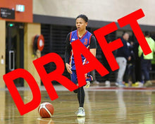 Load image into Gallery viewer, Lebron Mantua Iramoo Game Photo Catalogue