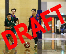 Load image into Gallery viewer, Lebron Mantua Iramoo Game Photo Catalogue