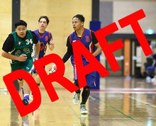 Load image into Gallery viewer, Lebron Mantua Iramoo Game Photo Catalogue