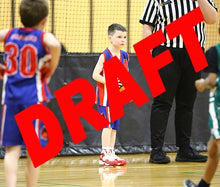 Load image into Gallery viewer, Lindsey Kniese Iramoo Game Photo Catalogue