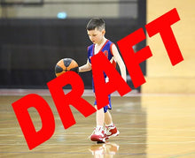 Load image into Gallery viewer, Lindsey Kniese Iramoo Game Photo Catalogue