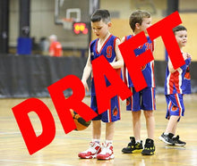 Load image into Gallery viewer, Lindsey Kniese Iramoo Game Photo Catalogue