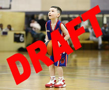 Load image into Gallery viewer, Lindsey Kniese Iramoo Game Photo Catalogue