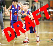 Load image into Gallery viewer, Lindsey Kniese Iramoo Game Photo Catalogue