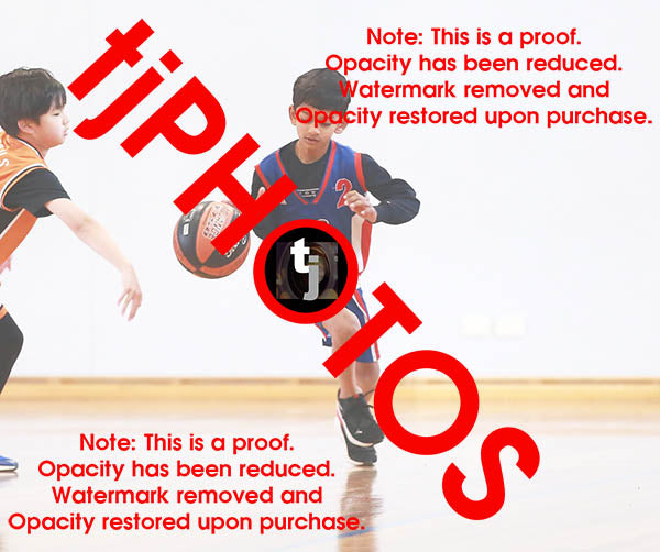 Saharsh Harikrishna Iramoo Winter 2024 Game Photo Catalogue