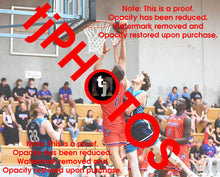 Load image into Gallery viewer, Liam Huntington Westgate Game Photo Catalogue