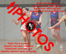 Load image into Gallery viewer, Georgi Edwards Westgate Game Photo Catalogue