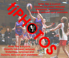 Load image into Gallery viewer, Georgi Edwards Westgate Game Photo Catalogue