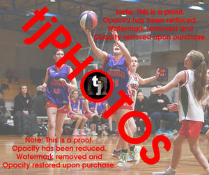 Georgi Edwards Westgate Game Photo Catalogue