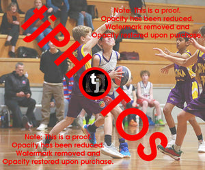 Angus Retallick Westgate Game Photo Catalogue