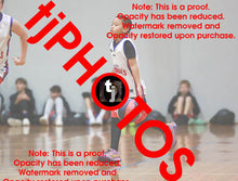 Load image into Gallery viewer, Kai Porto Westgate Game Photo Catalogue