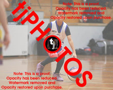 Load image into Gallery viewer, Kai Porto Westgate Game Photo Catalogue