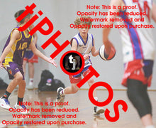 Load image into Gallery viewer, James Brady Westgate Game Photo Catalogue