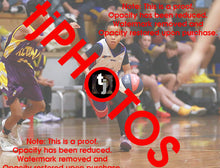 Load image into Gallery viewer, Kai Porto Westgate Game Photo Catalogue