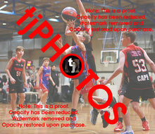 Load image into Gallery viewer, Oscar Cameron Westgate Game Photo Catalogue