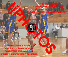 Load image into Gallery viewer, Amari Binnie Westgate Game Photo Catalogue
