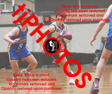 Load image into Gallery viewer, Harry Lawson Westgate Game Photo Catalogue