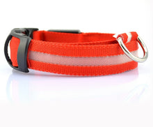 Load image into Gallery viewer, Safety Dog LED Collar