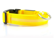 Load image into Gallery viewer, Safety Dog LED Collar