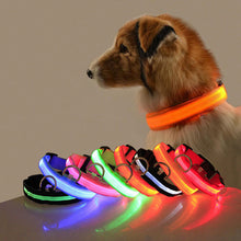 Load image into Gallery viewer, Safety Dog LED Collar