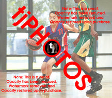 Load image into Gallery viewer, Aumatareka Jr Mathieson Cummings Iramoo Winter 2024 Game Photo Catalogue