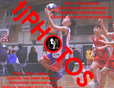 James Johnson Westgate Game Photo Catalogue