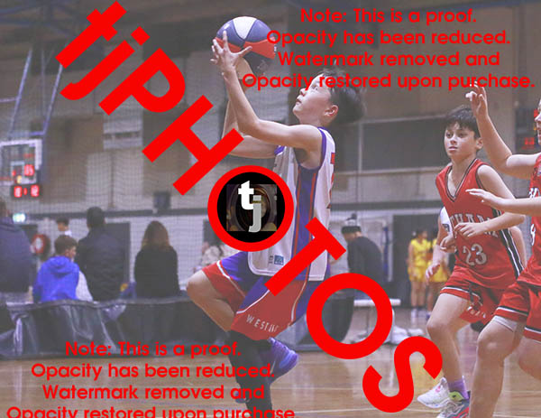 James Johnson Westgate Game Photo Catalogue