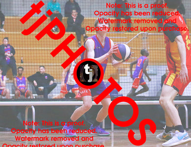 Patrick Razga Westgate Game Photo Catalogue