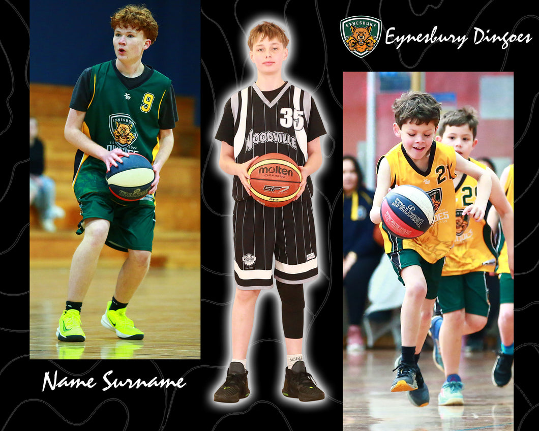 Eynesbury Dingoes LEVELS Photo