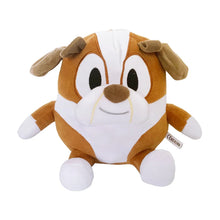 Load image into Gallery viewer, Bluey Plush Childrens Toys 21-30cm