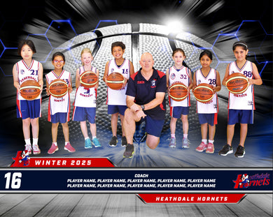Heathdale Basketball Team Photo DIGITAL