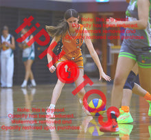 Load image into Gallery viewer, Phoenix Jarosz Corpus Winter 2026 2026 Game Photo Catalogue