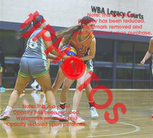 Load image into Gallery viewer, Phoenix Jarosz Corpus Winter 2026 2026 Game Photo Catalogue