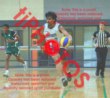 Load image into Gallery viewer, Sahebjot Riar Good News Power Winter 2026 Game Photo Catalogue