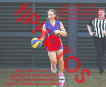 Load image into Gallery viewer, Imogen Gay Iramoo Winter 2026 Game Photo Catalogue