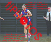 Load image into Gallery viewer, Imogen Gay Iramoo Winter 2026 Game Photo Catalogue