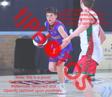 Load image into Gallery viewer, Fletcher Lamb Westgate U14B1 VJBL 2026 Game Photo Catalogue
