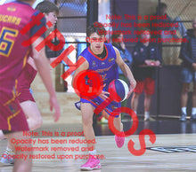 Load image into Gallery viewer, Harry Lawson Westgate U16B1 VJBL 2026 Game Photo Catalogue